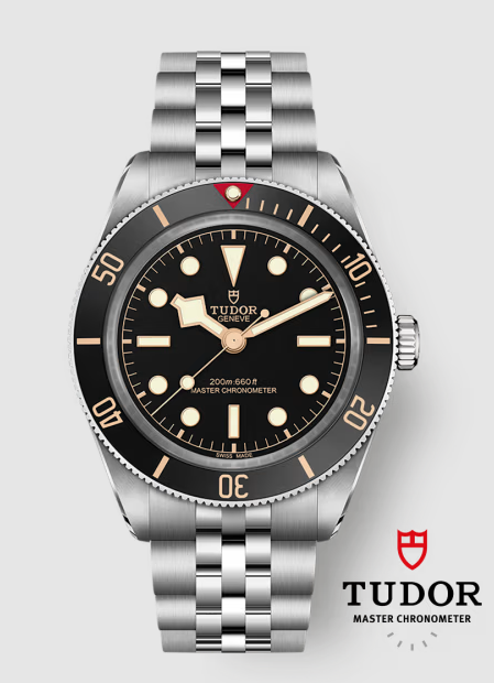 Tudor Black Bay 58 Steel M7939A1A0NU-0001 Replica Watch
